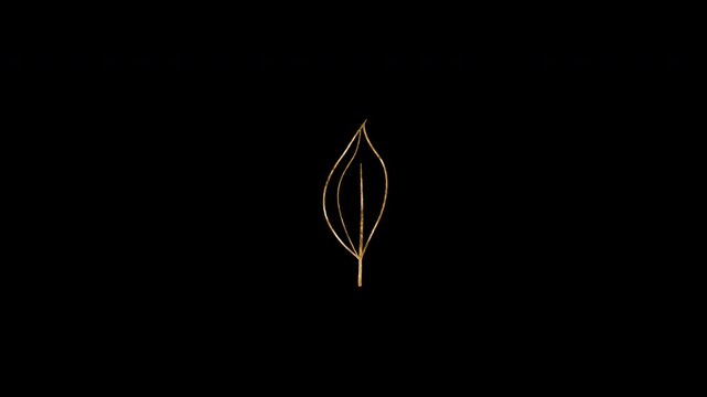 Gold Floral Outline Elegant Leaf Transparent Animation