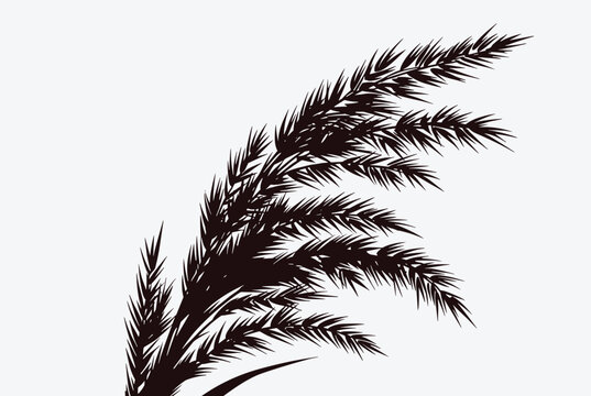 High contrast black silhouette of a wild reed or wheat plume blowing in the wind, isolated on a white background.