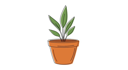 Small Potted Green Plant Growing. © Bilal