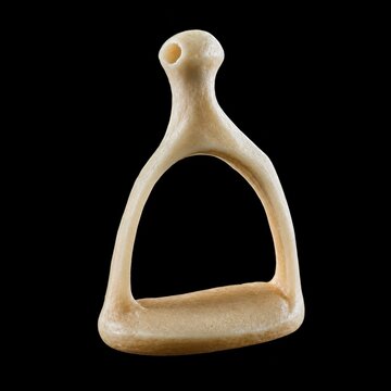Magnified stapes model shaped like a stirrup, isolated on black with sharp focus.