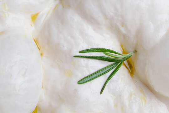Macro close-up of naturally fermented sourdough focaccia dough topped with fresh rosemary and olive oil. Concept traditional bread making, homemade baking, and natural leavening techniques