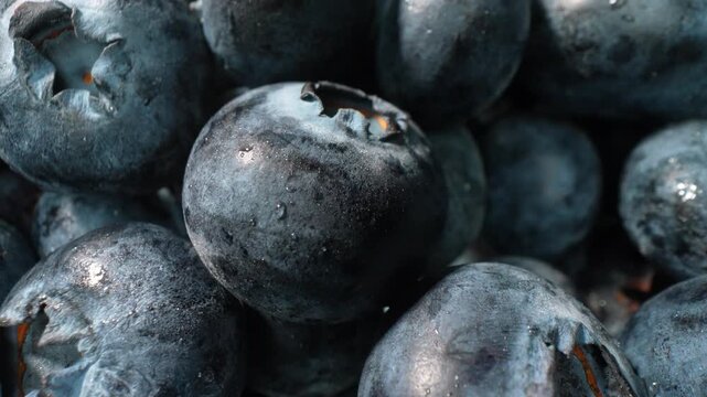 High-resolution macro capture of blueberries emphasizing their juicy appearance and antioxidant value. Ideal for wellness campaigns, superfood marketing, and natural ingredient concepts. 4k.
