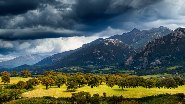 Ch&ecirc;nes-li&egrave;ges et montagnes de Corse sous un ciel d'orage