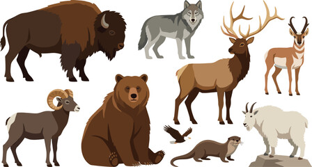 Naklejka premium North American Wildlife Collection Featuring Bison Wolf Bear Elk Mountain Goat Ram Antelope Eagle and River Otter Illustrations