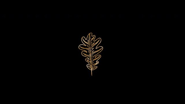 Floral Outline Gold leaf elegant motion in transparent Animation