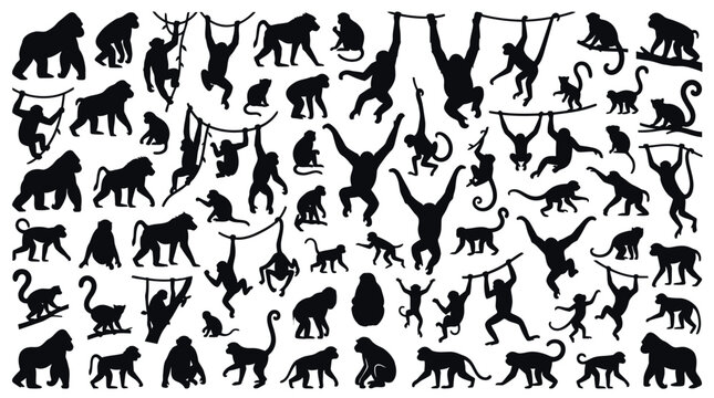 Detailed vector illustration featuring a diverse collection of monkey and gorilla silhouettes for creative projects