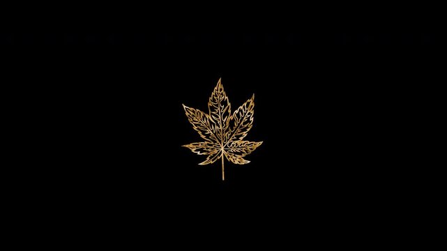 Gold Floral Outline transparent featuring elegant shimmering leaf patterns Animation