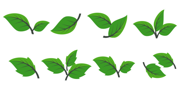 Leaf vector symbol, leaf illustration or leaf emoji in flat style. Spring leaf design, ecological nature theme.	