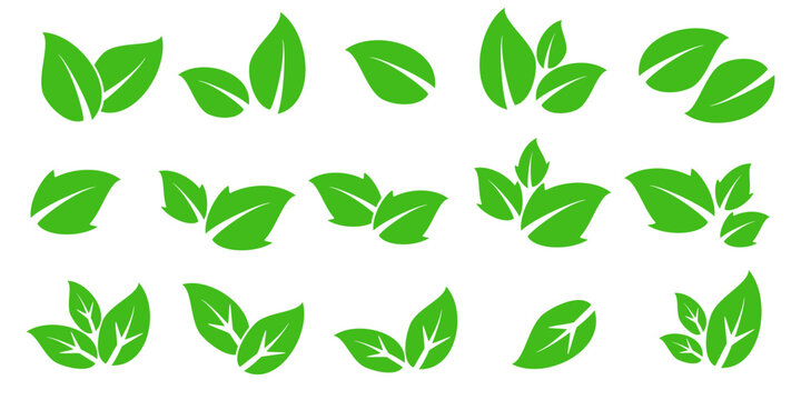 Leaf vector symbol, leaf illustration or leaf emoji in flat style. Spring leaf design, ecological nature theme.	