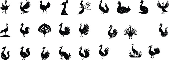 Rooster bird silhouette collection farm animal chicken design decorative feather pattern nature illustration vector art rural concept © MSTMISLA
