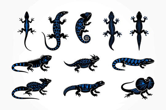 Lizard and Reptile Silhouettes with Blue Tribal Patterns