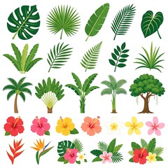 Naklejka premium Tropical Leaves and Flowers Collection.