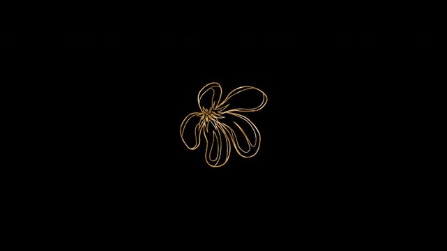 Floral Gold Outline showing elegant blooming flower Animation