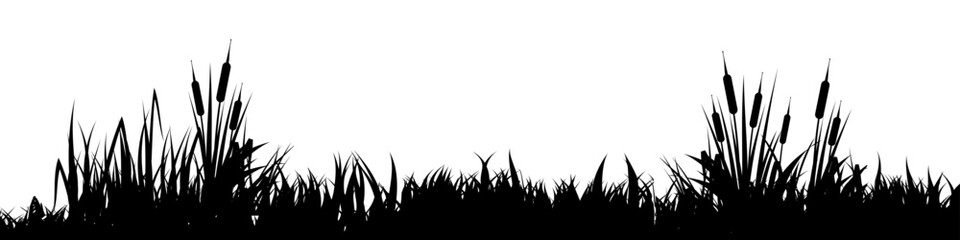 Obraz premium Meadow silhouette with grass, plants on plain. Panoramic summer lawn landscape with herbs, various weeds. Herbal border, frame element. Black horizontal banners. Vector illustration