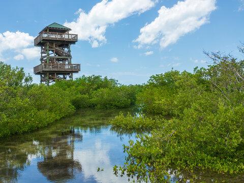 Wooden observation tower at a county nature preserve for sweeping views of mangrove forests and (off camera) Anna Maria Island, Sunshine Skyway Bridge, and Tampa Bay in southwest Florida