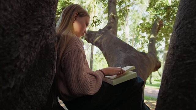A girl with long blonde hair sits on a tree branch and reads a book while surrounded by green leaves in a park