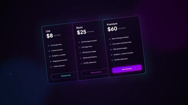 Pricing plans for website services with lite basic