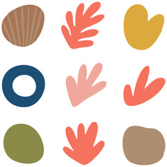Fototapeta premium Abstract coral shapes and shells arranged in grid