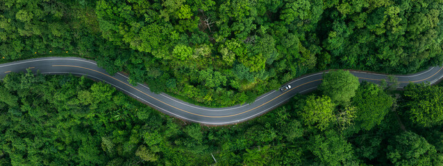 Scenic forest road with cars representing environmentally friendly transport and long term green investment strategies. © Hand Robot
