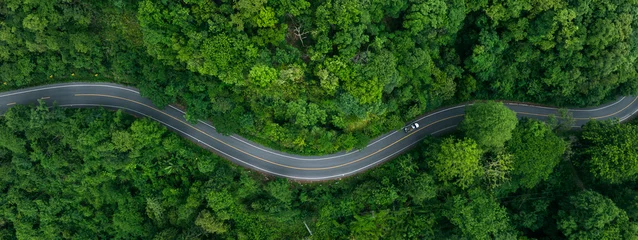 Fototapete Waldweg Scenic forest road with cars representing environmentally friendly transport and long term green investment strategies.  © Hand Robot