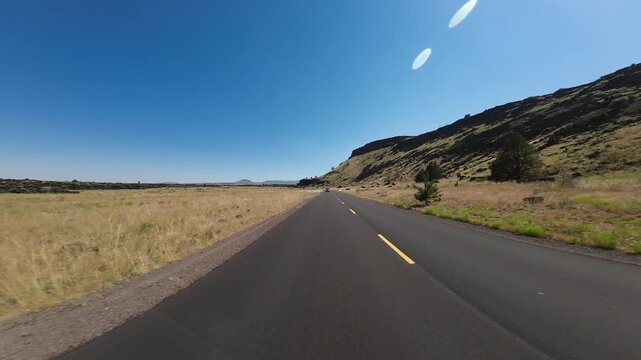 Volcanic Legacy Scenic Byway Tule Lake Northbound Mormon Crickets Swarming 01 Rear View Driving Plates California USA Ultra Wide