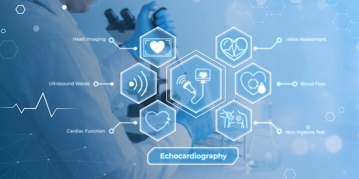 Modern medical illustration showing echocardiography technology with heart imaging and diagnostic features highlighted