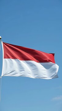 flag of indonesia