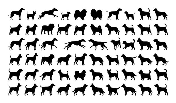 Professional Dog Silhouette Collection Featuring Multiple Breeds and Dynamic Canine Poses