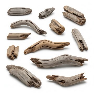 Driftwood pieces arranged on white surface