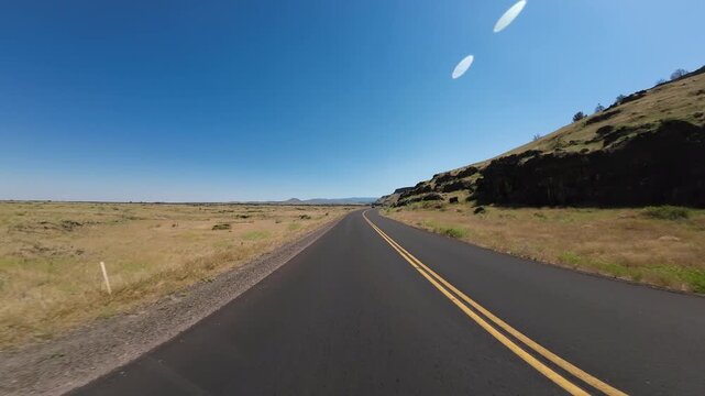 Volcanic Legacy Scenic Byway Tule Lake Northbound Mormon Crickets Swarming 02 Rear View Driving Plates California USA Ultra Wide