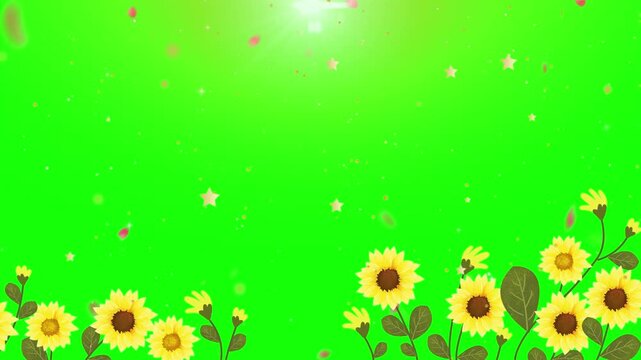Sunflowers arranged in a decorative bottom border against a bright green screen background offer a cheerful floral aesthetic suitable for digital presentations or video content requiring visual.