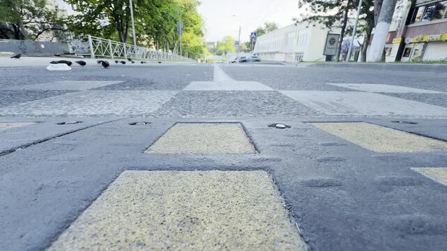 A textured speed bump stretches across a quiet asphalt road. Nearby, pigeons gather peacefully under the morning sun. This empty city street inspires a lonely yet calm feeling.
