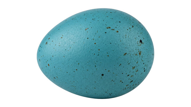 Single robin egg with speckled texture, isolated on transparent background, high detail.