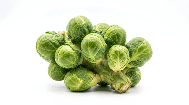 Fresh green organic Brussels sprouts cluster on stalk isolated on white background, nutritious healthy raw vegetable for culinary cooking