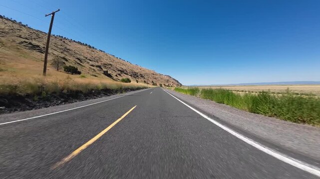 Volcanic Legacy Scenic Byway Tule Lake Northbound Mormon Crickets Swarming 03 Front View Driving Plates California USA Ultra Wide
