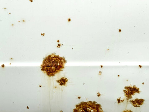 Textured circular rust spots on a white car surface