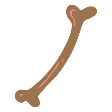 Brown large bone