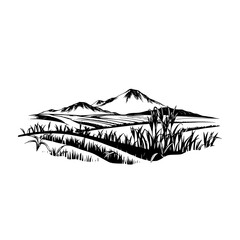 Fototapeta premium Rice cultivation landscape with mountain silhouette, vector illustration of agricultural field and grassy hillside