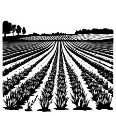 Vector illustration of a vast agricultural field at sunset with rows of crops and trees in the background, silhouette style. © Sarfaraz