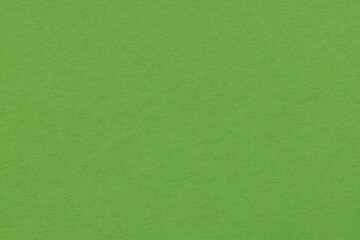 Fototapeta premium Plain Green Paper Texture Background,Macro,A high-quality, solid light green paper texture background, perfect for use as a minimalist backdrop or graphic design element.