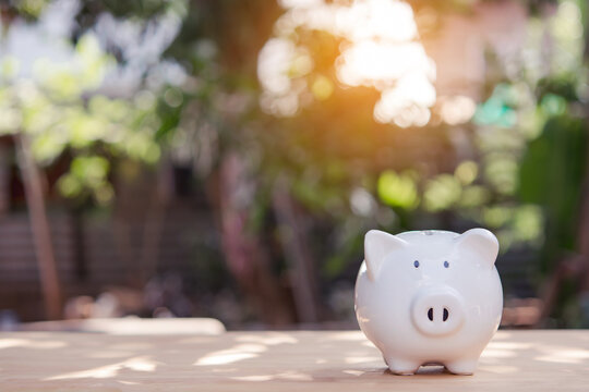 White piggy bank on wooden table with blurred garden background and warm sunlight
