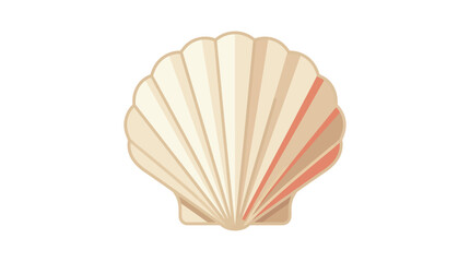 Scallop Shell Closeup View Details. © Zimba
