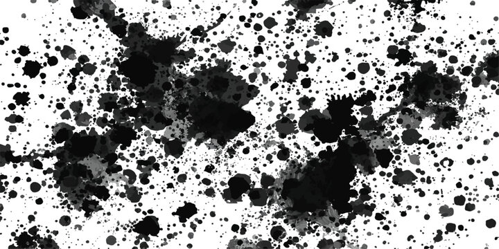 Black and White Leopard Print Background with Grunge Ink Splash Floral Frame Design.