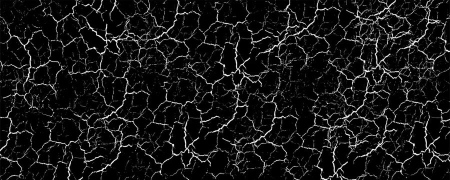 Grey and white fluid wave gradient abstract minimal vector background