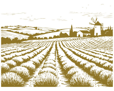 Rural landscape: rolling fields, windmill, farmhouses and cypress trees. Vector illustration, Hatching pattern, suitable for restaurant menus, labels, postcards, backgrounds
