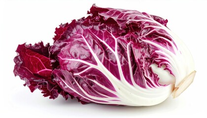 Obraz premium Fresh Purple Radicchio Head Resting on Clean White Background