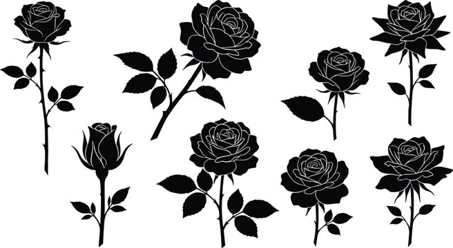 Black rose silhouette set with stems and leaves vector elements for elegant floral designs