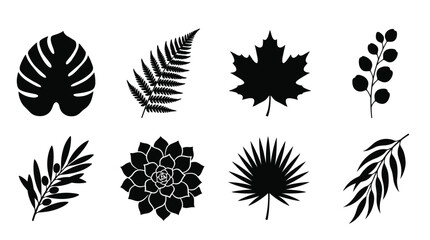 Minimalist black leaf silhouettes set, collection of 8 botanical plant icons, tropical monstera and fern foliage vector elements for logo design © NoobCreaTion