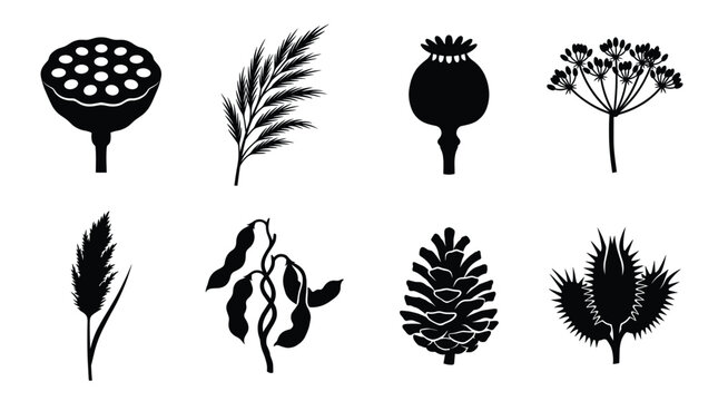 Botanical silhouette icons set, black floral elements including lotus pod and poppy head, 8 minimalist plant vector graphics for logo design