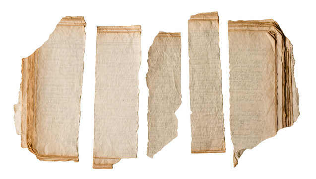 Torn antique book pages with aged paper texture, isolated on transparent background